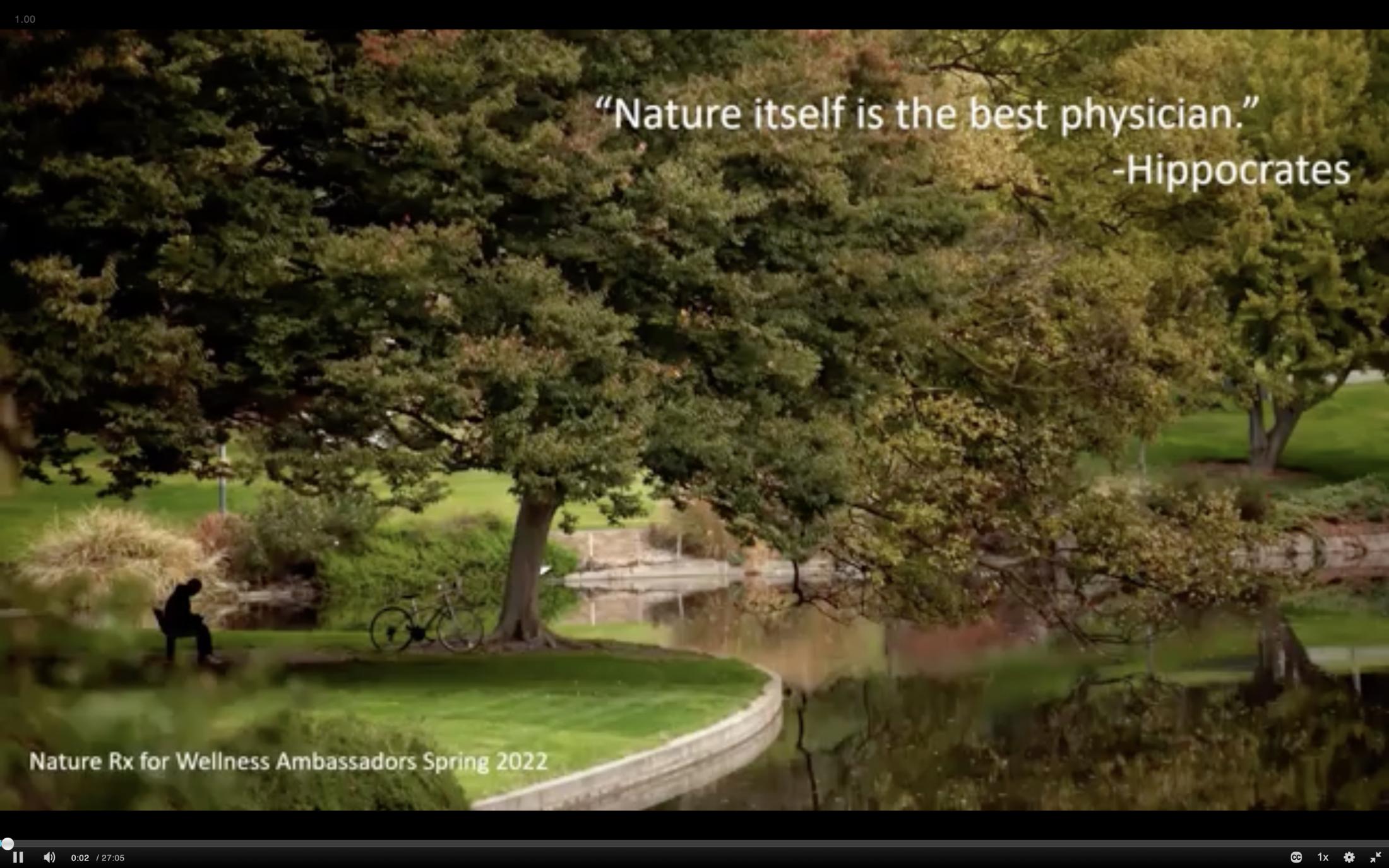 Trees next to a pond in a park